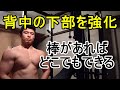 【広背筋】自重でも十分に効く【スターナムチンニング】