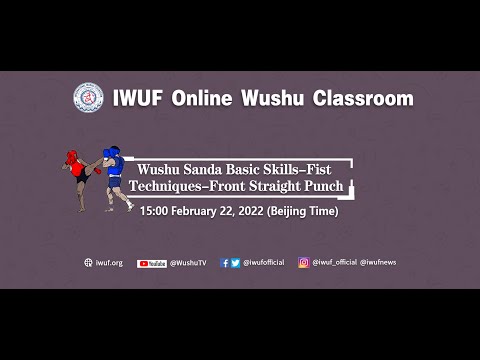 Wushu Sanda Basic Skills-Fist Techniques-Front Straight Punch
