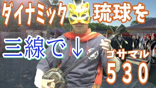 ダイナミック琉球を沖縄三線でダイナミックに！