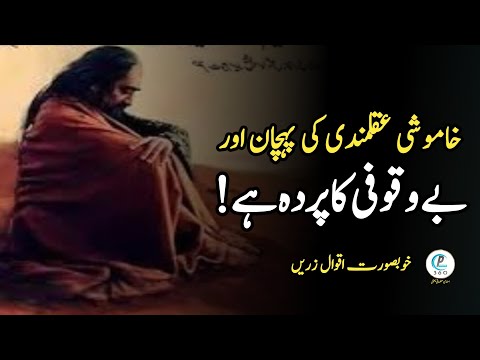 Beautiful Urdu Words|Aqwal e Zareen Urdu Mein
