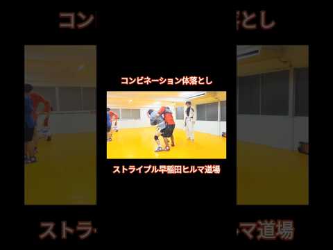 コンビネーション体落とし #サンボ #格闘技 #柔術