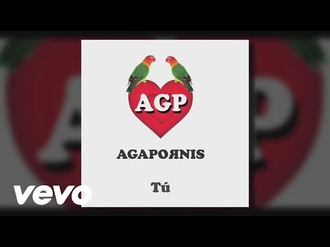 Tú video