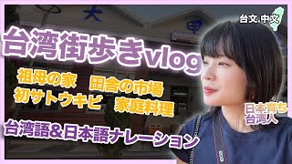 【台湾vlog】日本育ち台湾人、祖母宅へ行く(台文中文字幕)