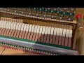 Piano Hammer Replacement. Can you hear a difference?