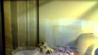 Tim Bell's Webcam Video from April 27, 2012 04:28 PM