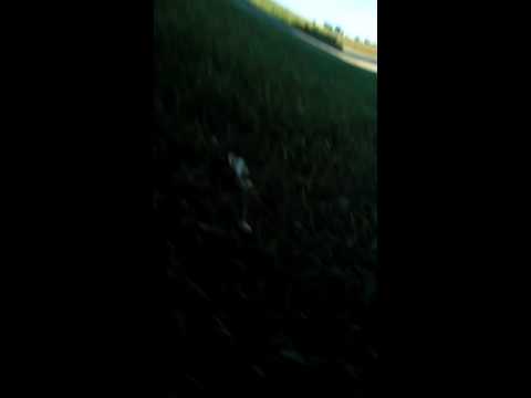 We are legends official trailer