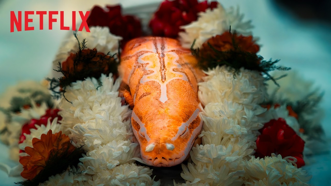Neighbors LOSE IT At Dead Pet Python 🐍 Ft. Helly Shah & More | Chumbak | Netflix India