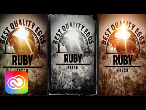 Mobile Magic: Powering Up Your Mobile Photography Game | Adobe Creative Cloud