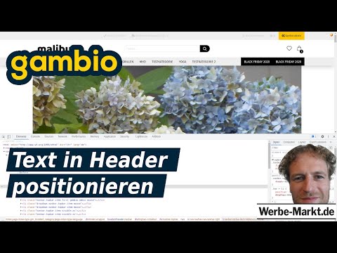 Gambio Malibu-Theme: Text im Header positionieren