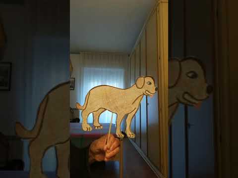 Il codino del topino