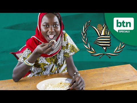 Global Citizenship and Social Responsibility | Community Health