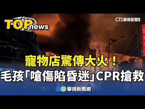 寵物店驚傳大火！　毛孩「嗆傷陷昏迷」CPR搶救
