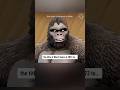 Could this be the worst game of 2023? It’s called Skull Island: Rise of Kong. #kingkong #kong #game