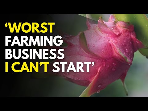 Facts of Hass Avocado Market Kenyan chapter