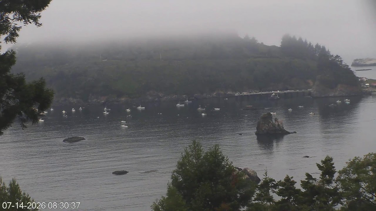 Live webcam view of Trinidad Harbor & Headland