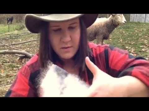 Episode 13: How To Turn Wool Into Yarn