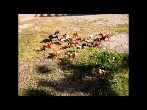 trailer Black moon la luna nera serie cavalli breyer