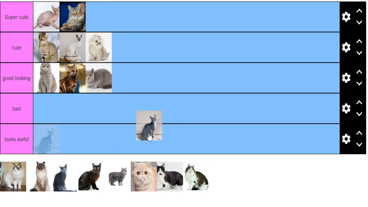Cat Breed Tier List