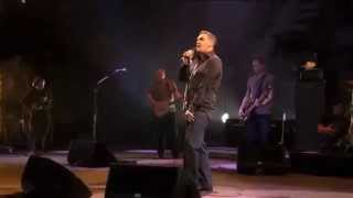 Morrissey - Satellite Of Love (subtitulada español/english lyrics)
