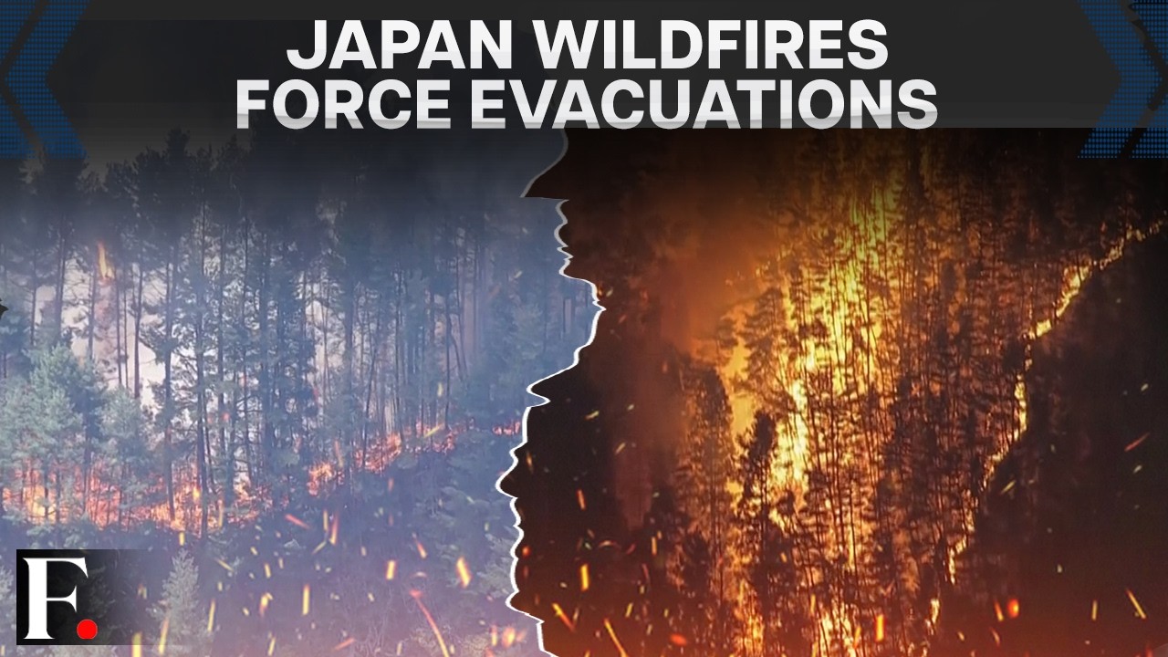 Japan: Hundreds of Firefighters Battle Raging Wildfires
