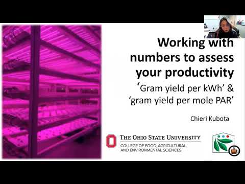 #6 - Working with numbers to assess your productivity - g/kWh & g/mol PAR