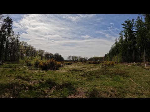 From Gent to Muziekbos (Ronse)