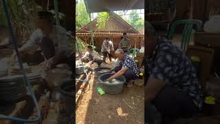 Download lagu Kehangatan, Keharmonisan dan Gotong Royong di Acara Pernikahan di Desa mp3