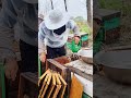 SMOOTH Harvest! Watch this ELECTRIC Bee Shaker Work 🔋