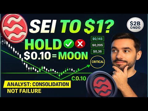 SEI Network Update December 2025: Price Targets, On-Chain Metrics & Trading Strategy