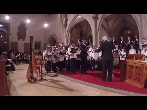 Raphael: Adventskyrie (Maria durch ein Dornwald ging) - Zürcher Sängerknaben