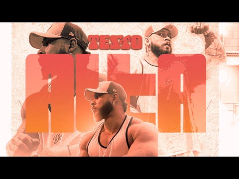 Sonhador Feat. CLOSE & Vinny - Testo Alta