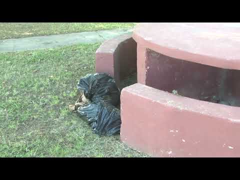 En un barrio de Palpalá, las calles están oscuras y en la noche es tierra de nadie