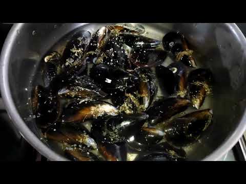 MEJILLONES AL VAPOR