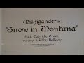 Michigander - Snow In Montana ft. Gabrielle Grace, moony & Abby Holliday (Official Lyric Video)