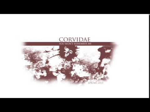 Corvidae - You Won't Remember Me