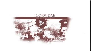 Corvidae - You Won't Remember Me