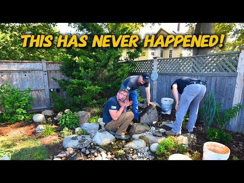 SHE WASN'T HAPPY. WE REBUILT IT TWICE. TWO HOURS FROM HOME.