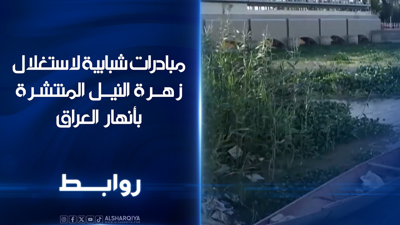 فيديو | مبادرات شبابية لاستغلال زهرة النيل المنتشرة في أنهار العراق