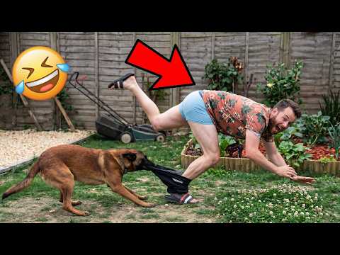 Try Not To Laugh Funny Fails Compilation 2026 😂 Viral Videos & Instant Regret Moments Caught