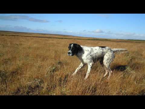 The Navigators - Pulling Oil From The Sand