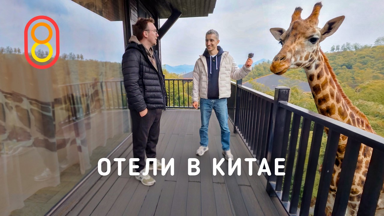 Супер-отели в Китае: ЖИРАФЫ в комплекте!