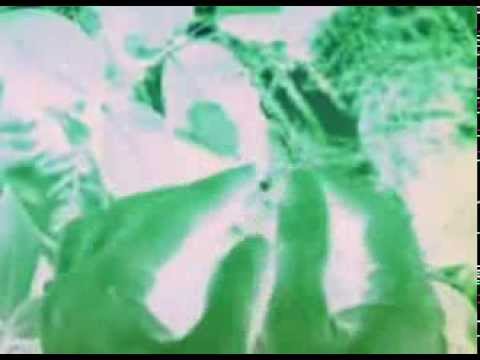 Masta Trill  $pace trip ft (Lil Joe,Trvx Mutant)  prod by $oldjat beats