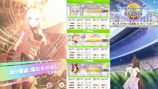【ウマ娘】チャンピオンズミーティングLONG枠 【雑談】