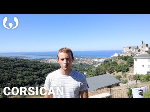 WIKITONGUES: Paulu speaking Corsican