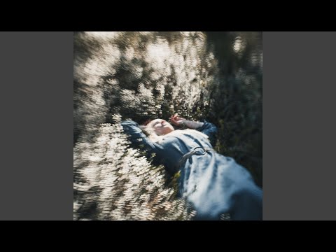 Under the Tree | Meet Your Warden