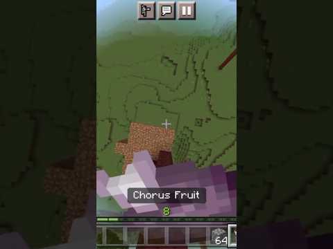 Sensational Minecraft Clutch with Chorus Fruit #smp