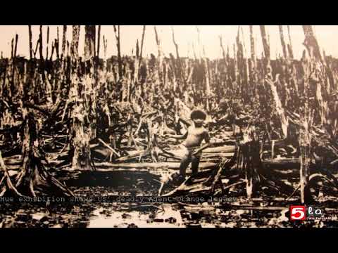Hue exhibition shows US’ deadly Agent Orange legacy