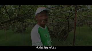 [情報] 2024 第61屆金馬獎 入圍作品觀看管道