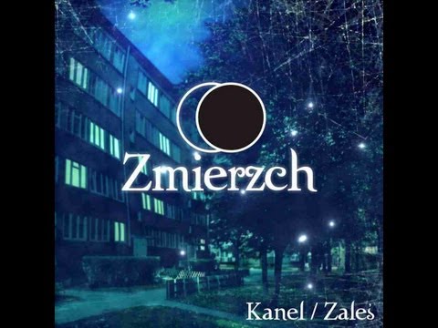 KANEL/ZALEŚ - "ZMIENIAM SIĘ NA LEPSZE" (FT. SOYER,DESTO,MANFREDO,DJ.DANEK)