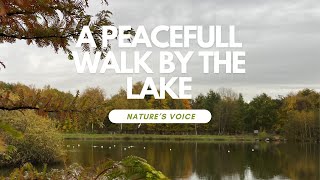 Unwind with a Peaceful Walk by the Lake | Nature | Sweden